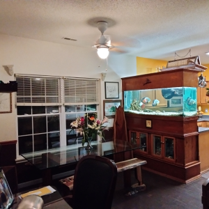 Stand-Alone Aquarium